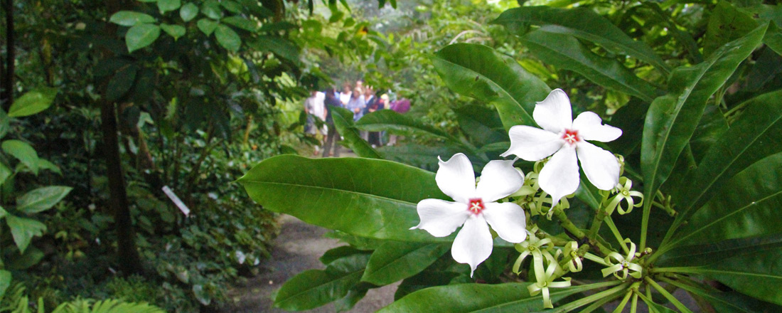 Ökologisch-Botanischer Garten Universität Bayreuth