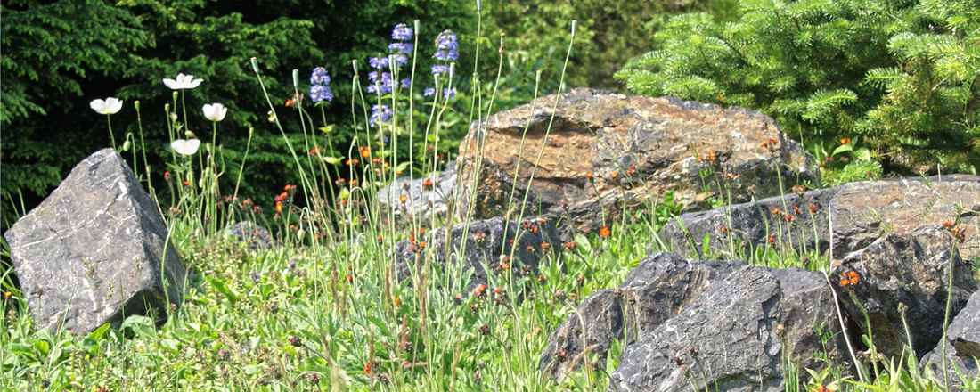 Gesteine im Ökologisch-Botanischen Garten