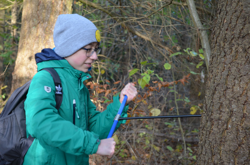 ÖBG-Projekt Forests for Future - Kernbohrung